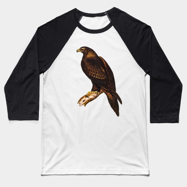 Wedge-tailed Eagle Vintage Illustration Baseball T-Shirt by KarwilbeDesigns